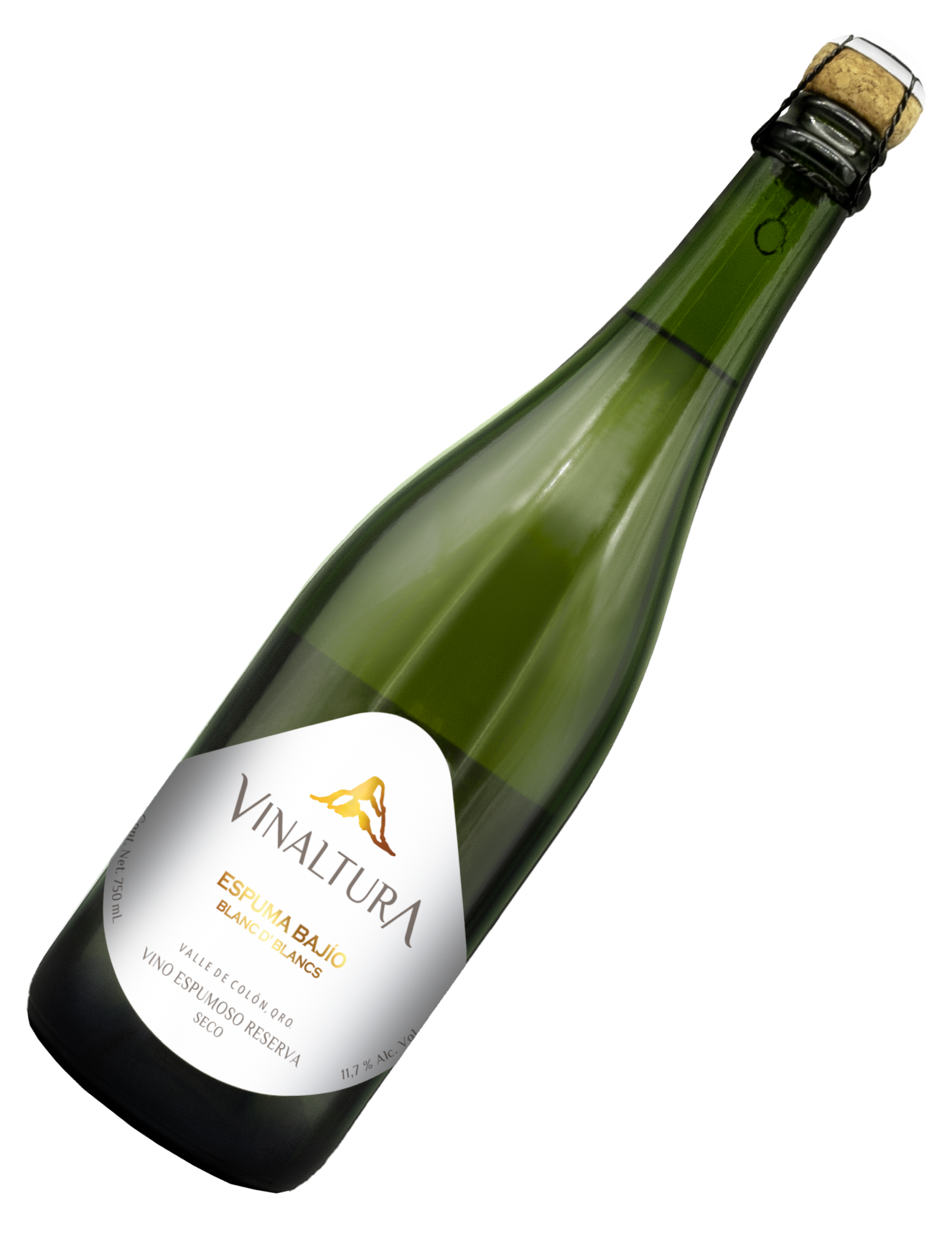 Vinaltura rEspuma Bajío Blanc de Blancs